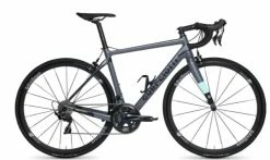 DEDACCIAI Vélo GUERCIOTTI ITALO Carbone Shimano 105 11V 2021 Gris